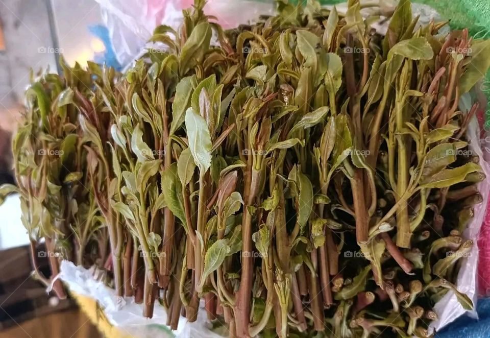 A very beautiful picture, and there is no better picture than it. There is no better picture of green herbs and colorful, red and white roses than it. Glory be to God, the natural and picturesque view, and there is no more