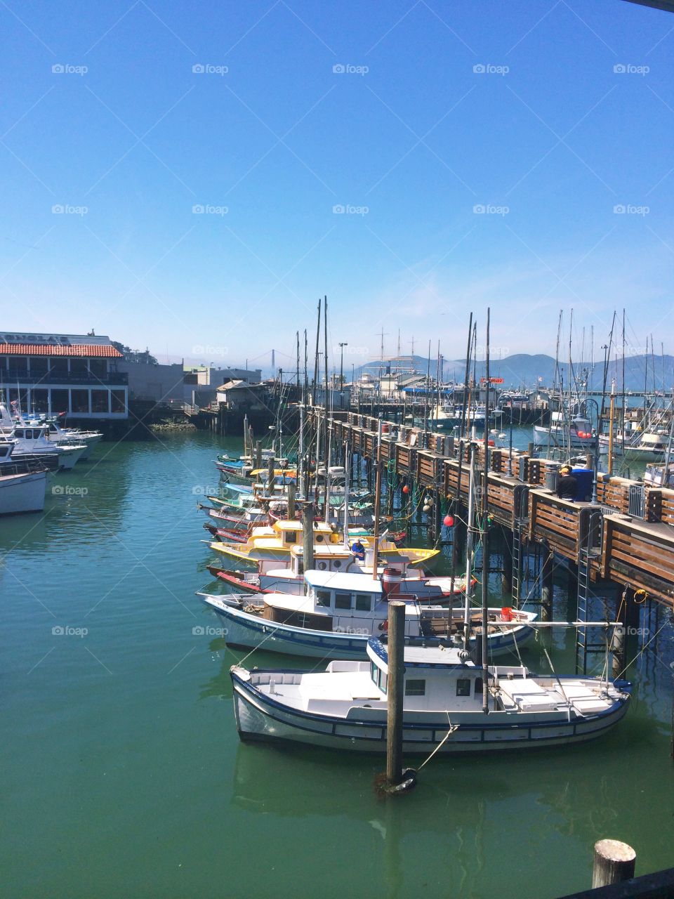 Sailboats in the San Francisco Marina. Sailboats docked in the San Francisco marina with the Golden Gate Bridge in the distance. 