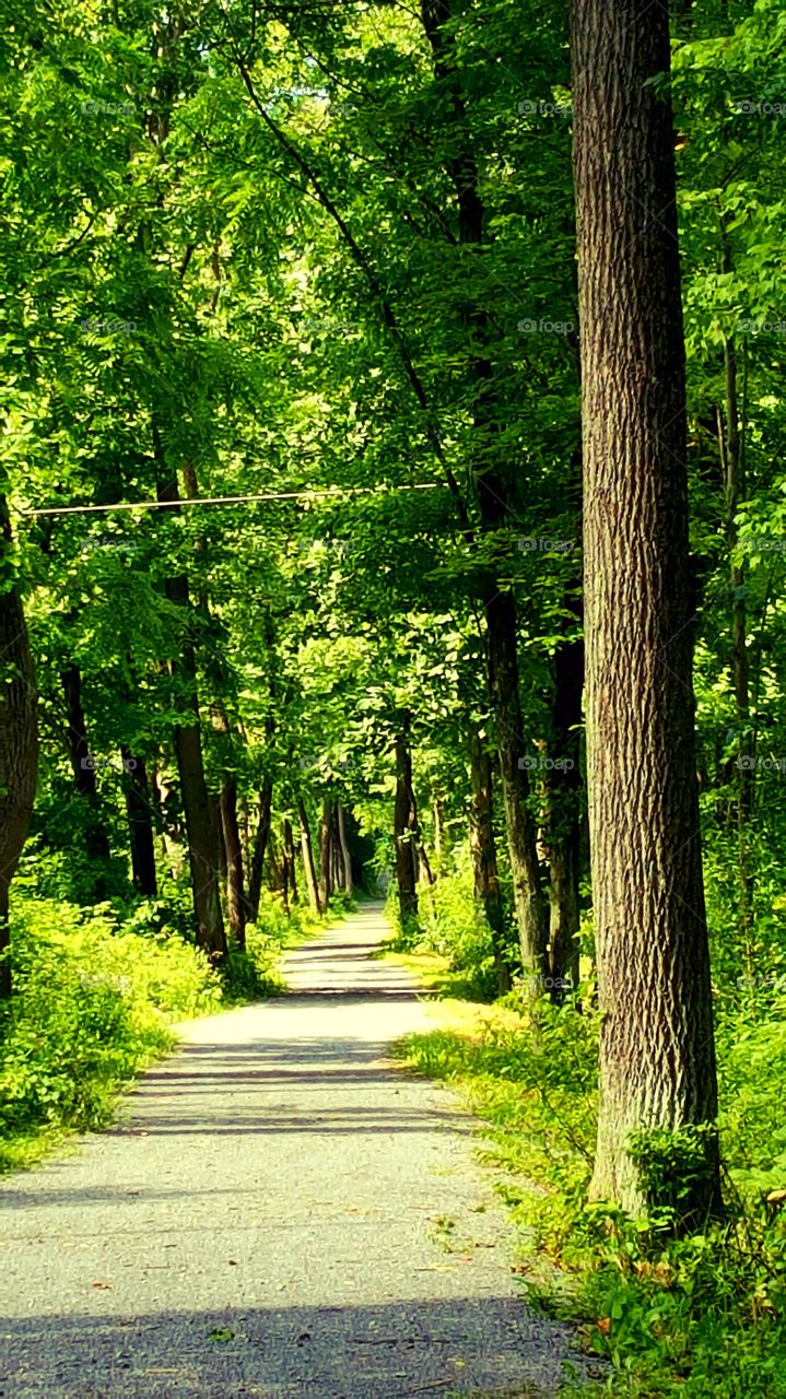 follow your own path