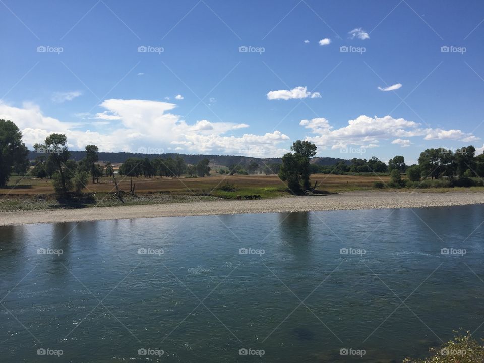 Water, No Person, Tree, Lake, River