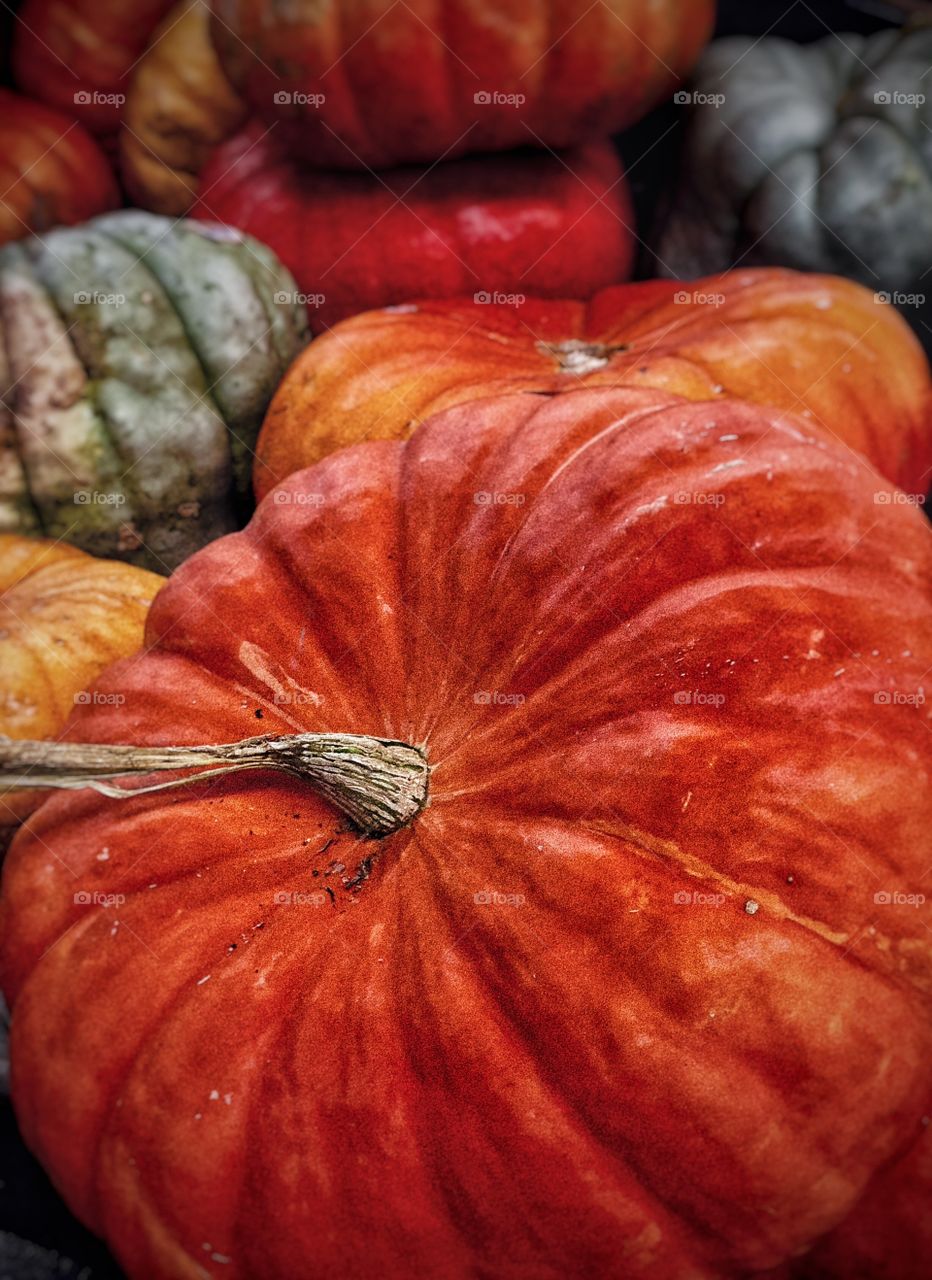 Close-up of pumpkin