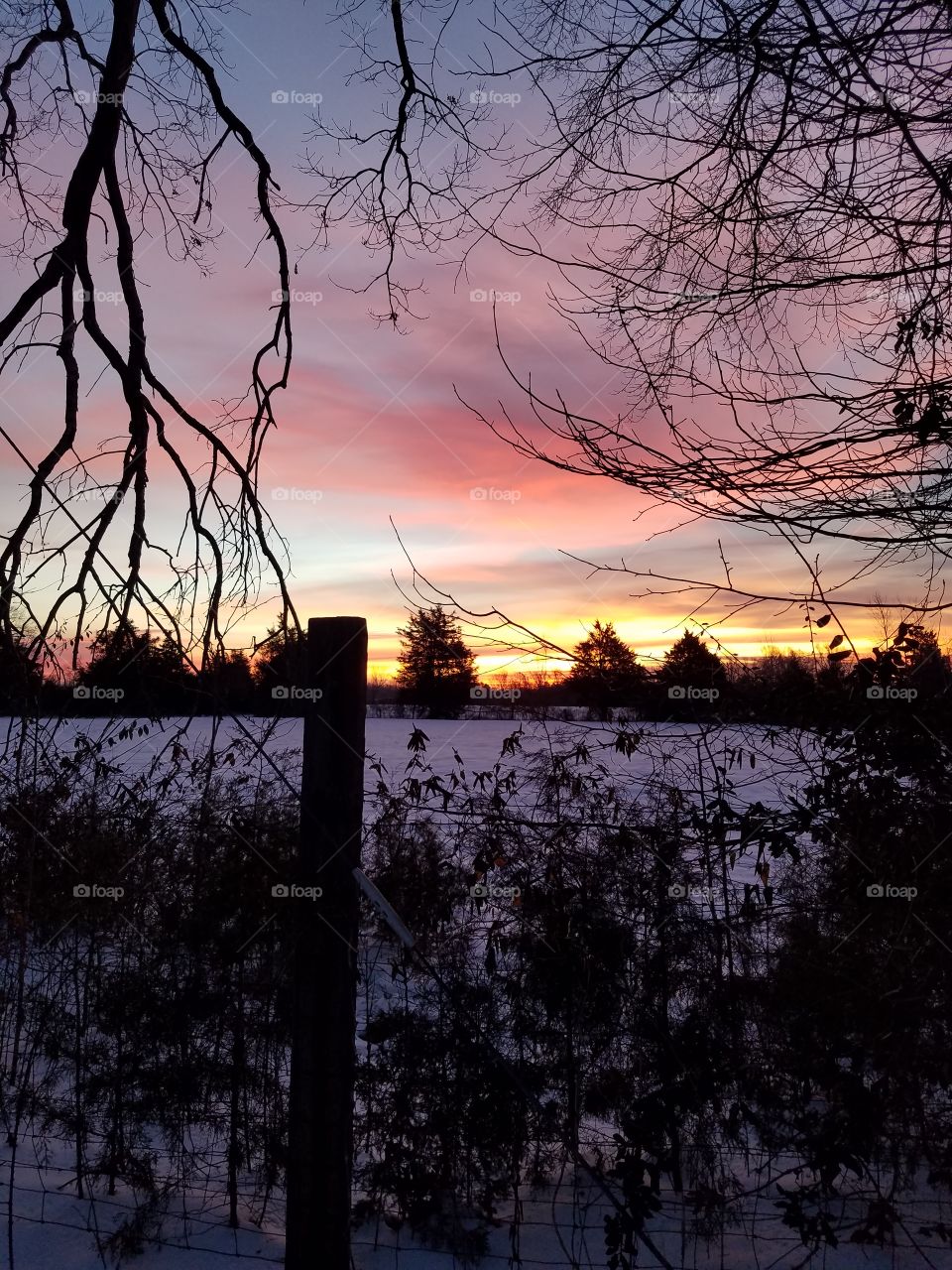 sunrise over snow