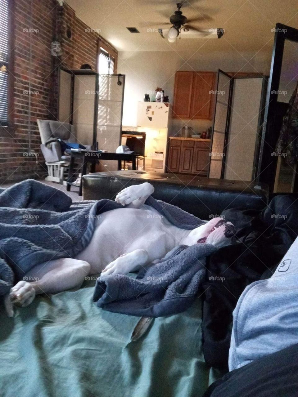 Im not getting up today