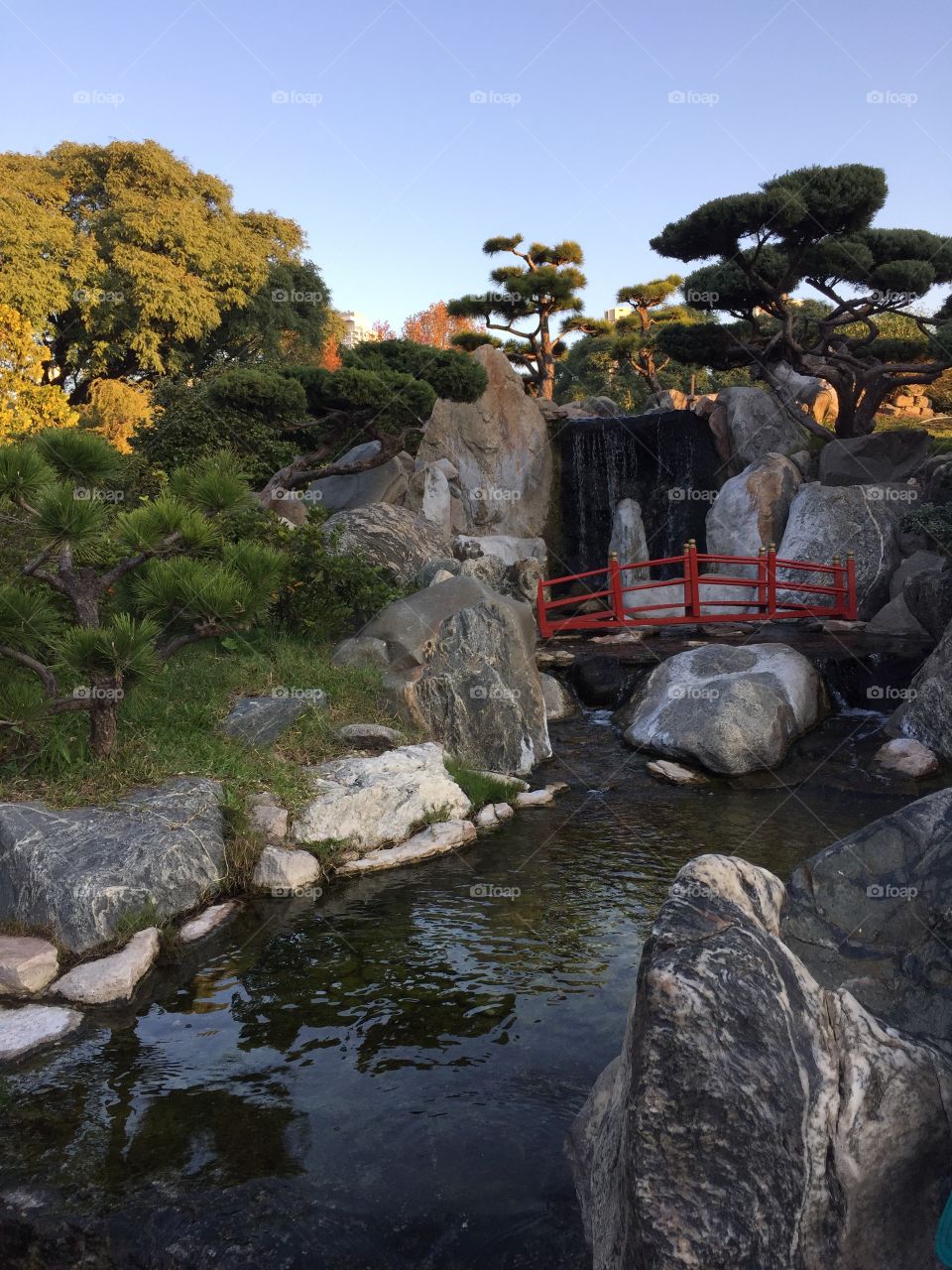 Jardim japonês. Buenos Aires 