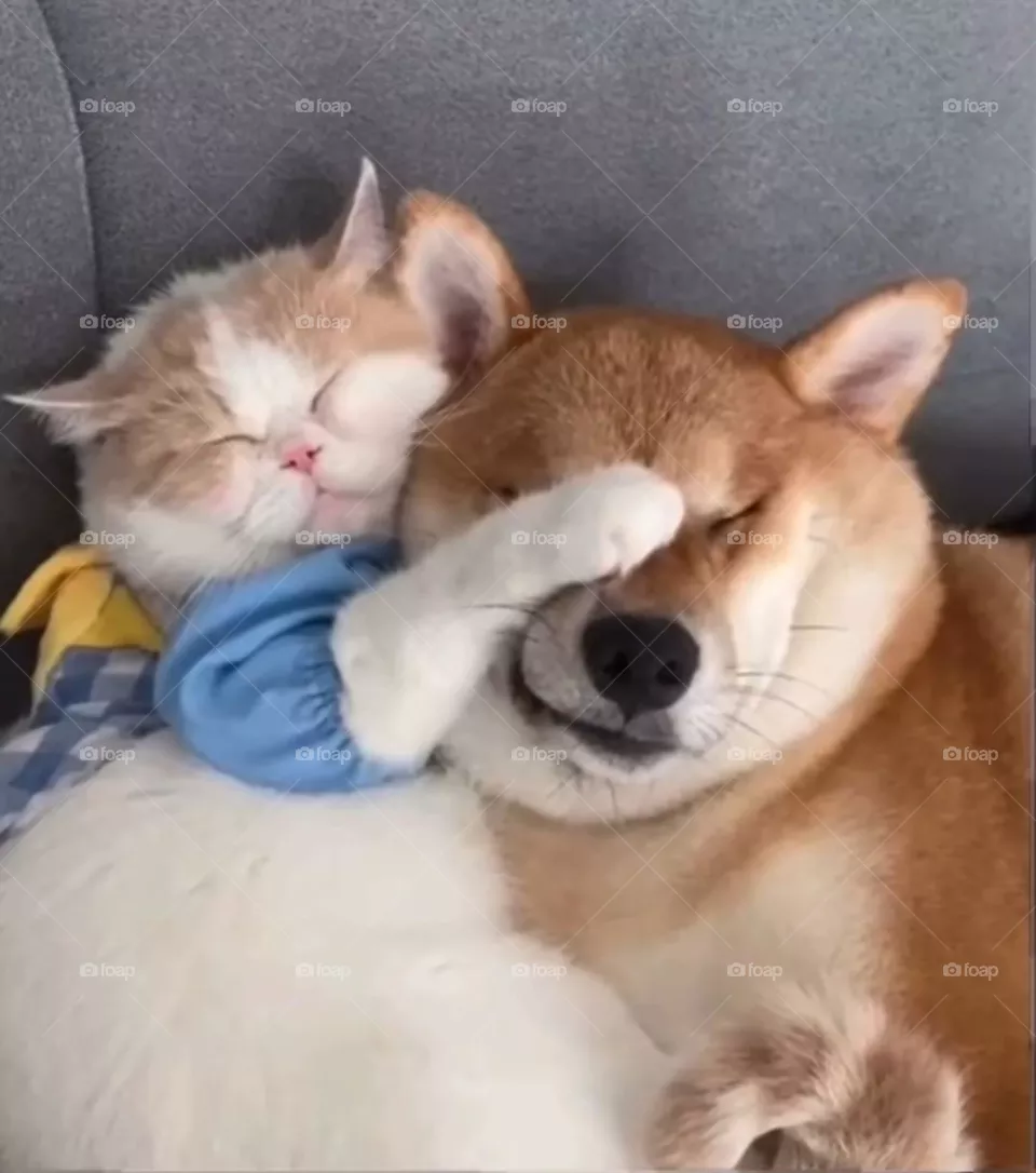 Don't Look