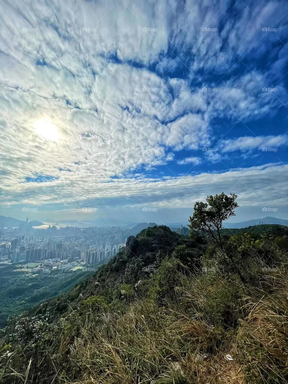 Blue Sky