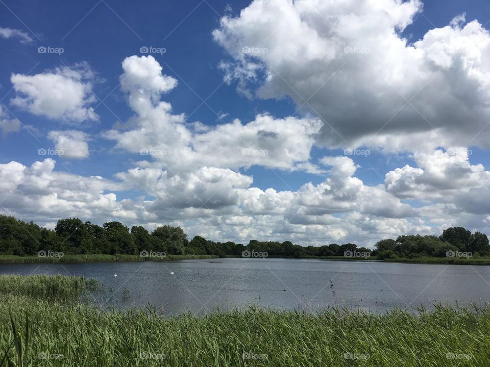 Looking out over the lake with ducks and swans, Cotswolds, UK