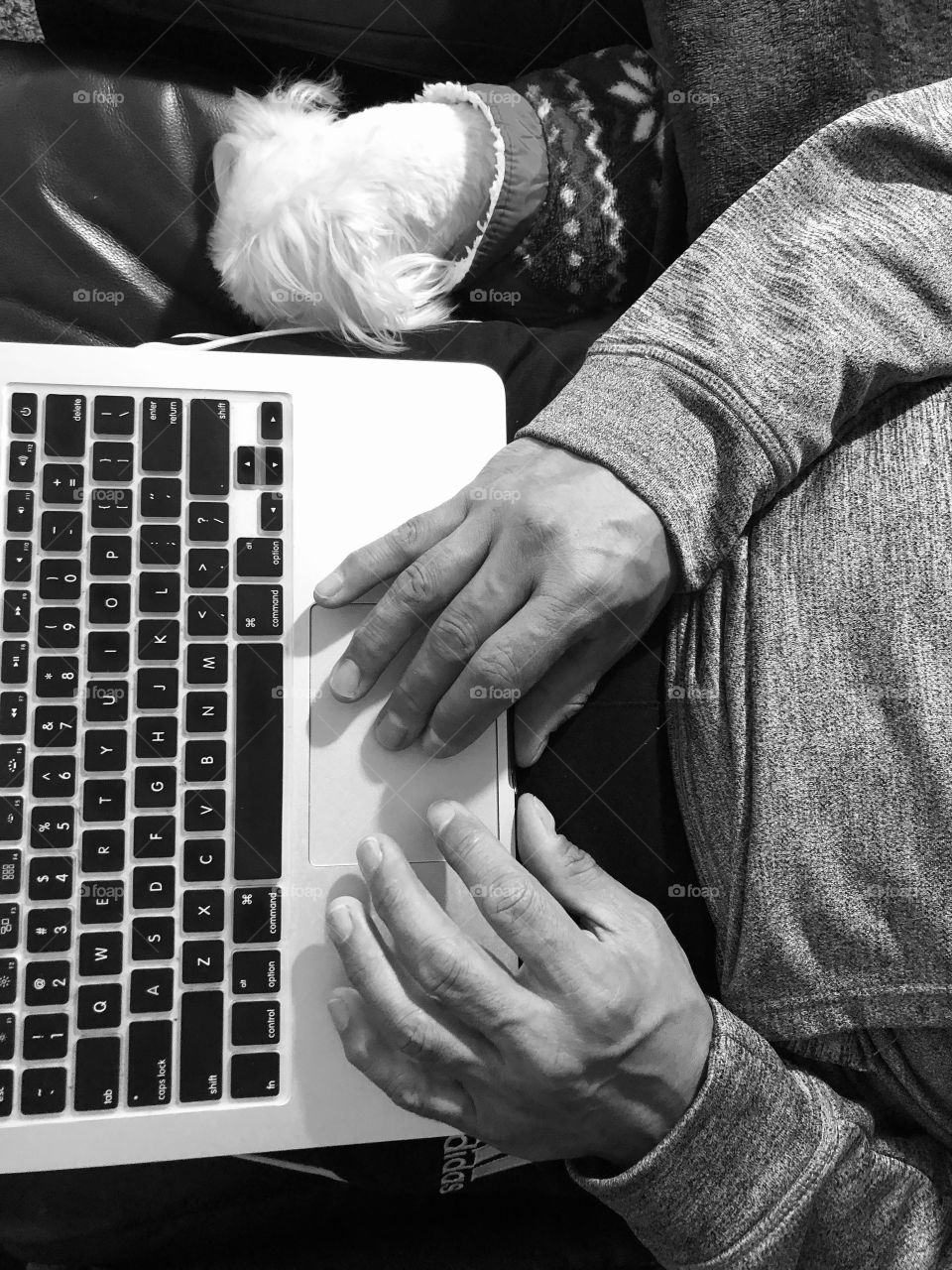 Doggie is sleeping while dad is working 