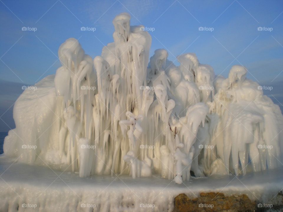 Splendide sculpture de glace emprisonnant un arbuste
