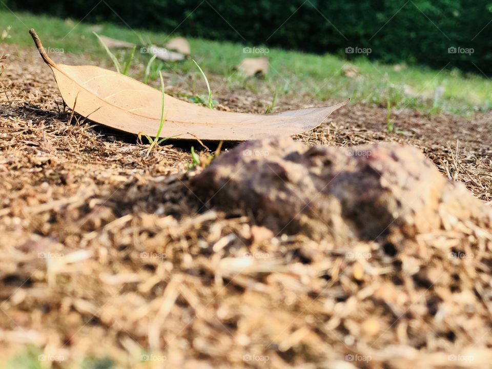 Everything is beautiful, when you see it in clear vision...📸