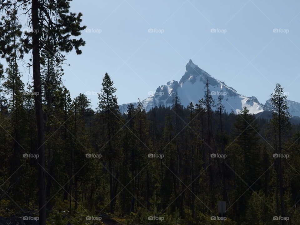 The beautiful jagged peak of snow covered Mt. Washington in Oregon’s Cascade Mountain Range seen through the forest trees on a sunny spring morning. 