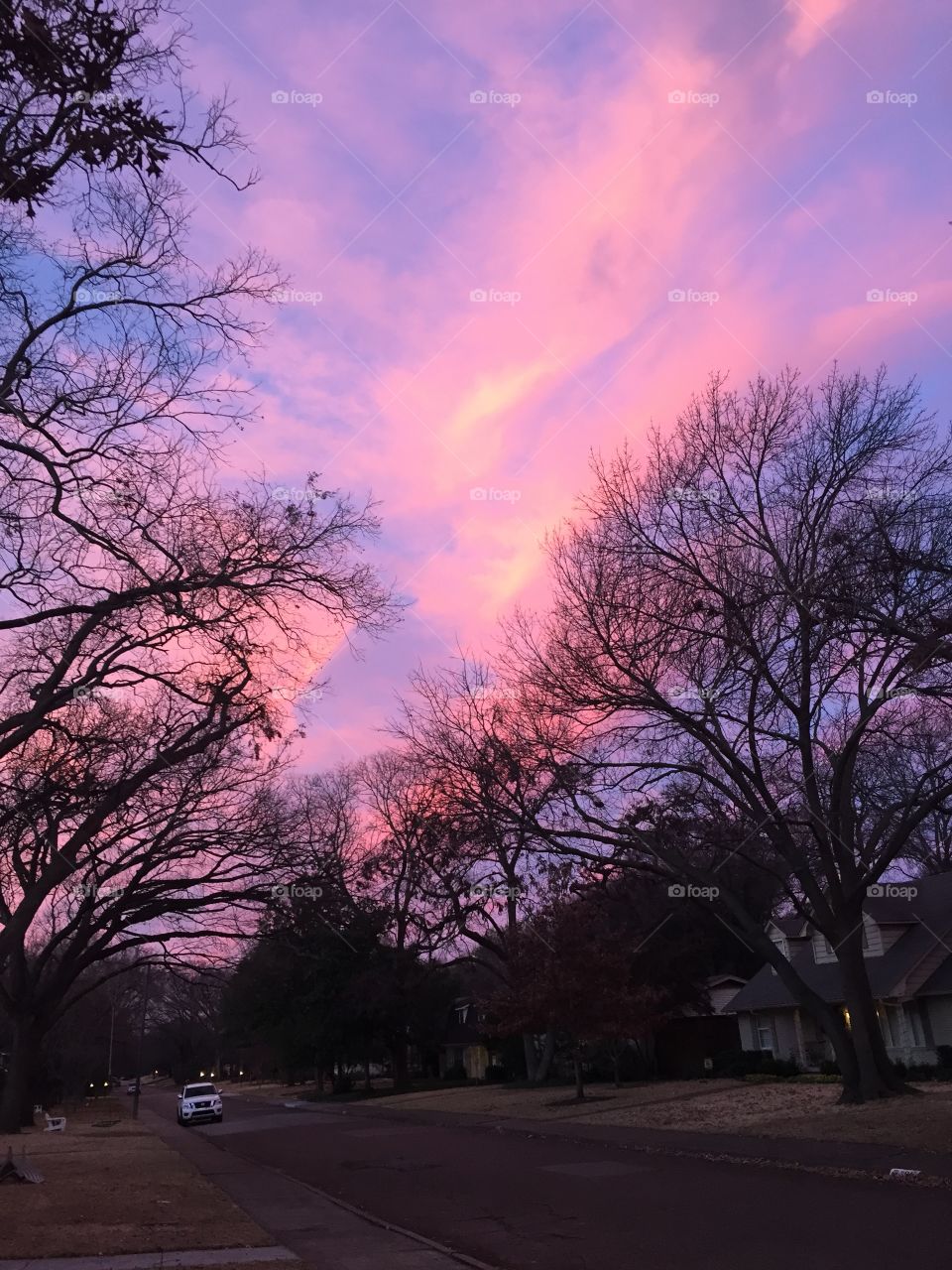pink and purple Dallas sunset skies make up for barren winter trees