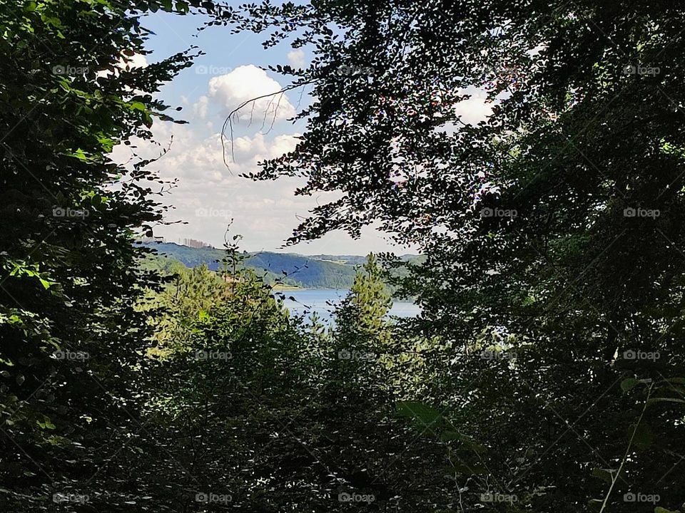 Буденність