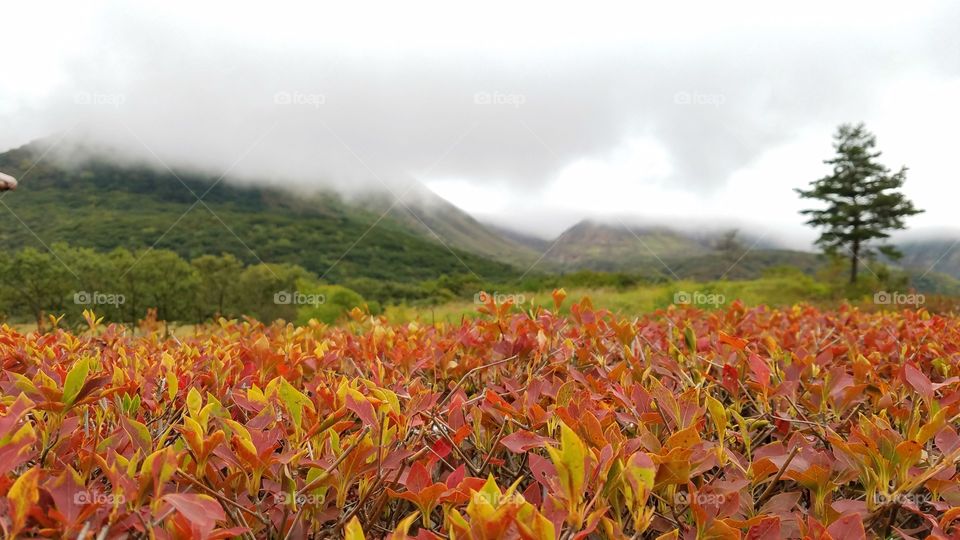 Scenic view of the mountains