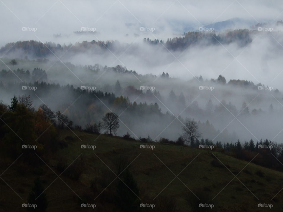 Fog in the  mountain.