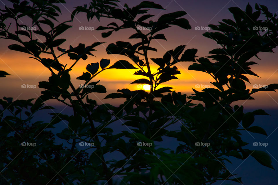 Sunrise at Crimdon Dene