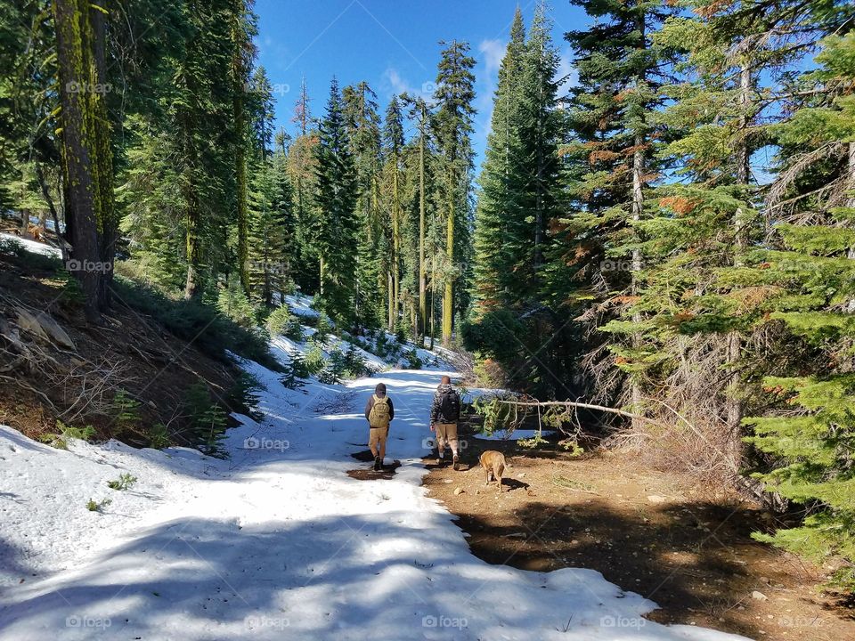 Springtime hiking up in the Sierras!