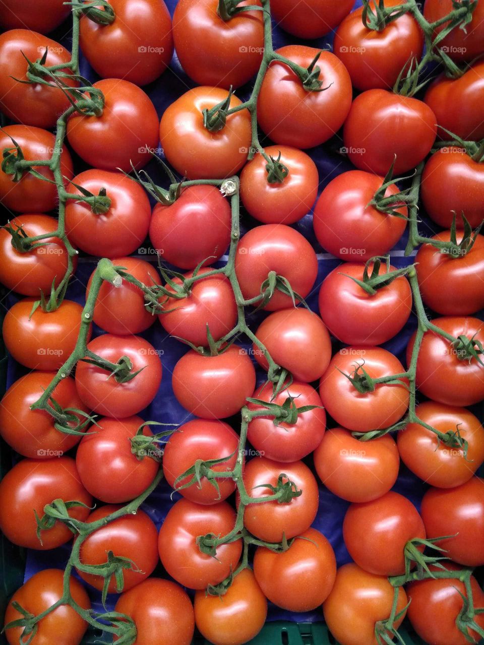 tomatoes in a box