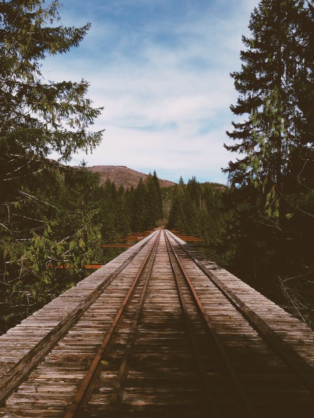 Wooden rail track