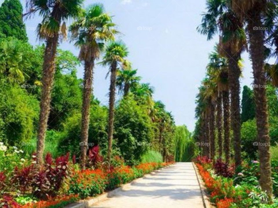 Beautiful garden and lovely view