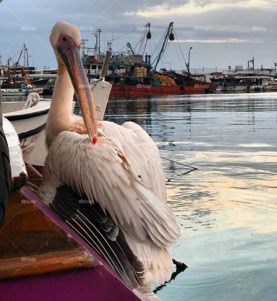 Short break for flight