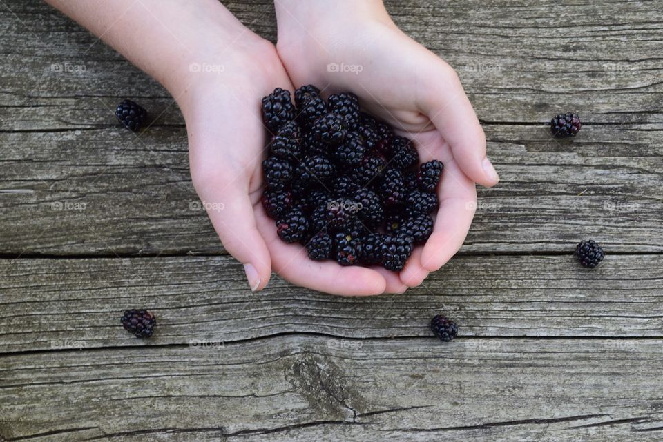 Picking Blackberries 