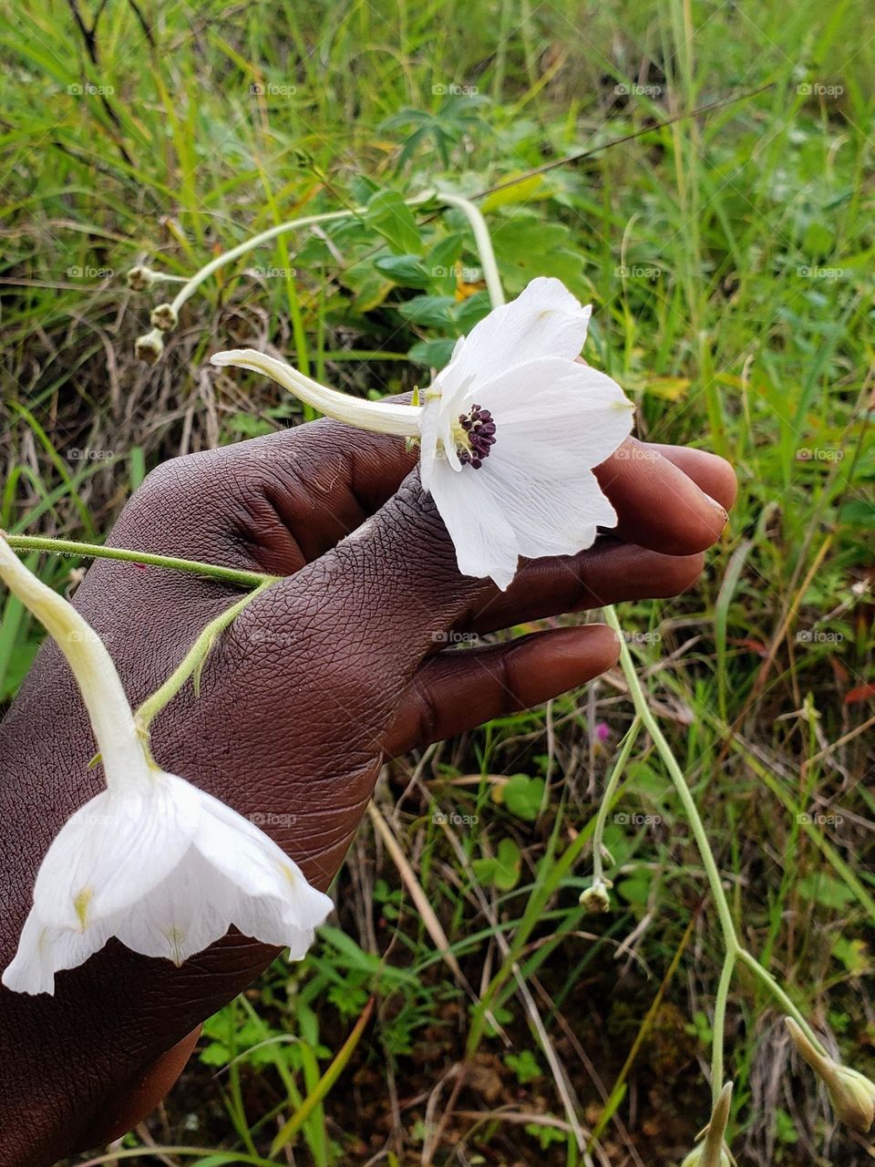 Flowers adds the best memory on our adventure. Here was on my cycling tour.

June 22, 2023
04:00pm