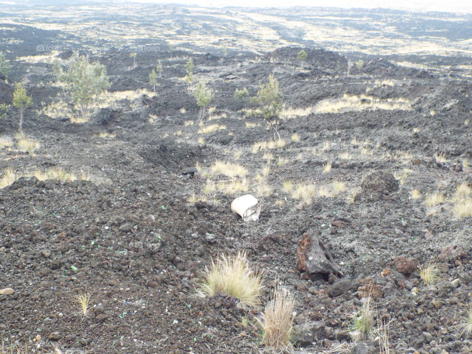 Lava field.  Big Island of Hawaii