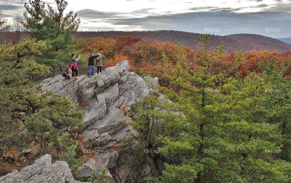 fall view