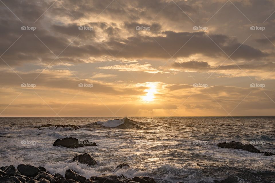 summer by the ocean