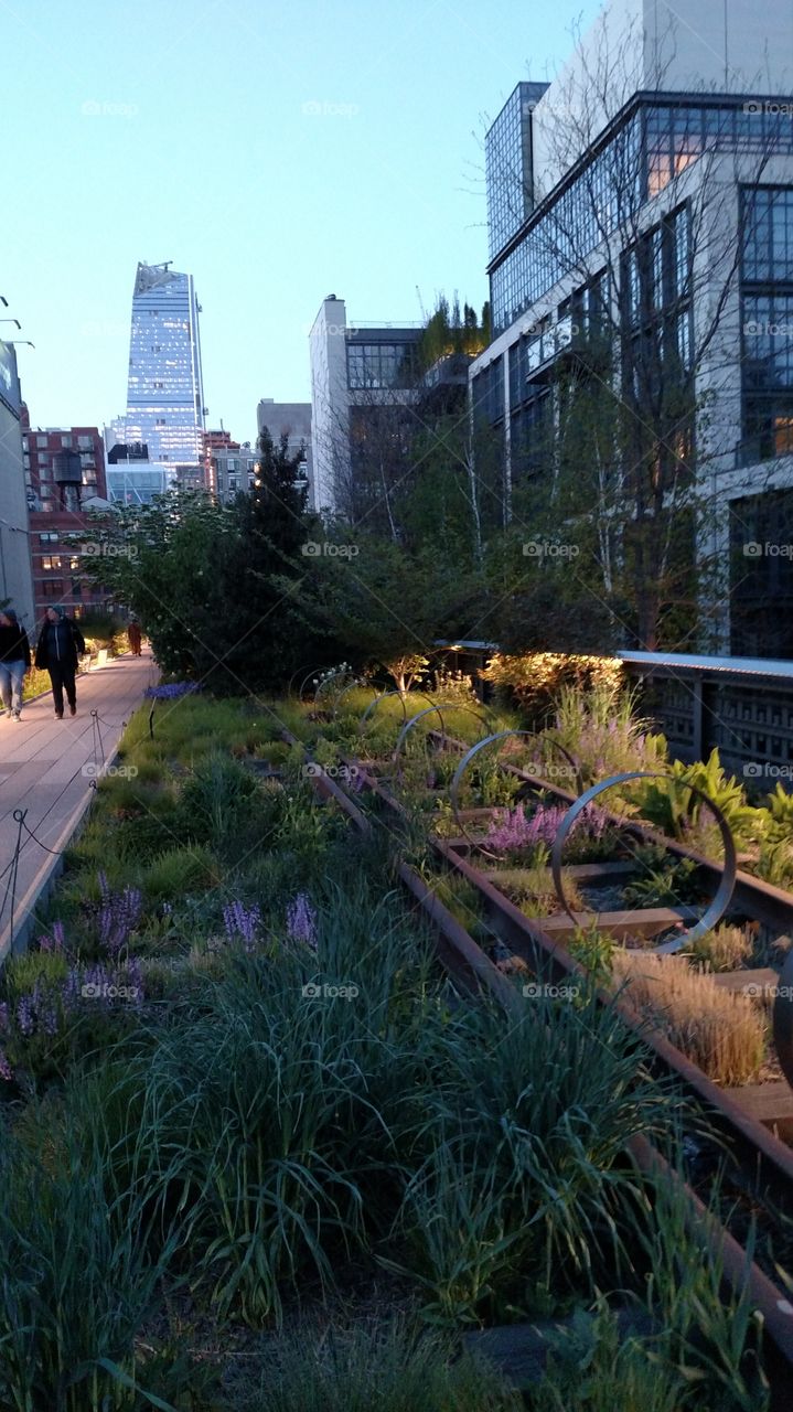 Highline Park at Dusk