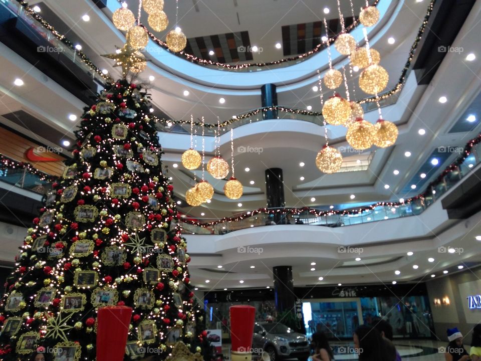 Christmas, Celebration, Winter, Interior Design, Christmas Tree