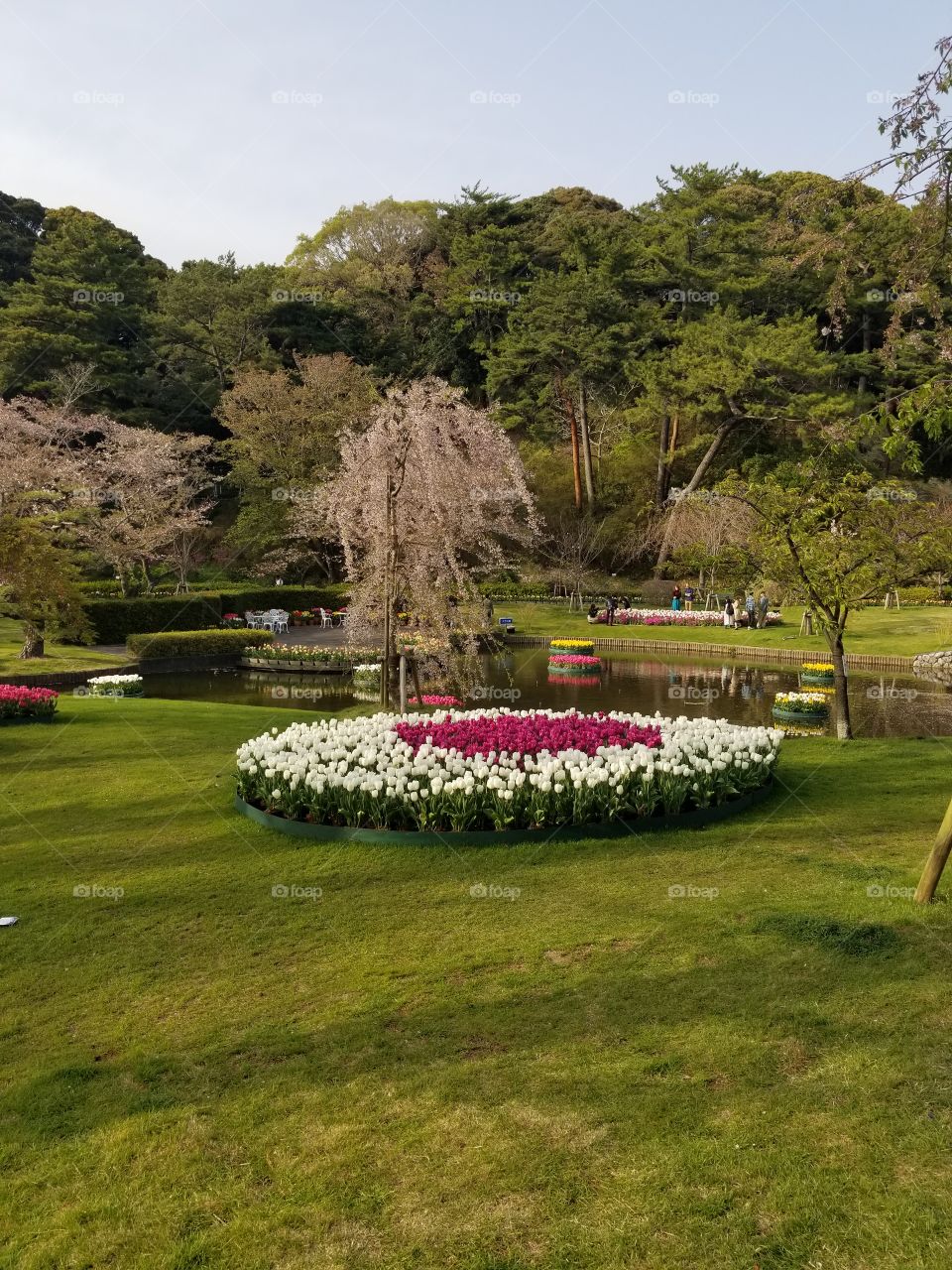 spring in Japan! Hamamatsu park