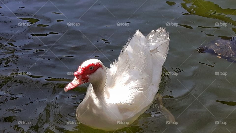 Cagliari, Sardinia, Italy