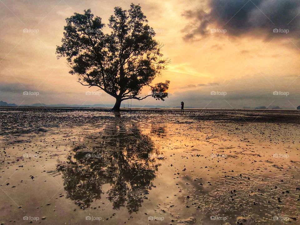 Silhouette of sunset moment