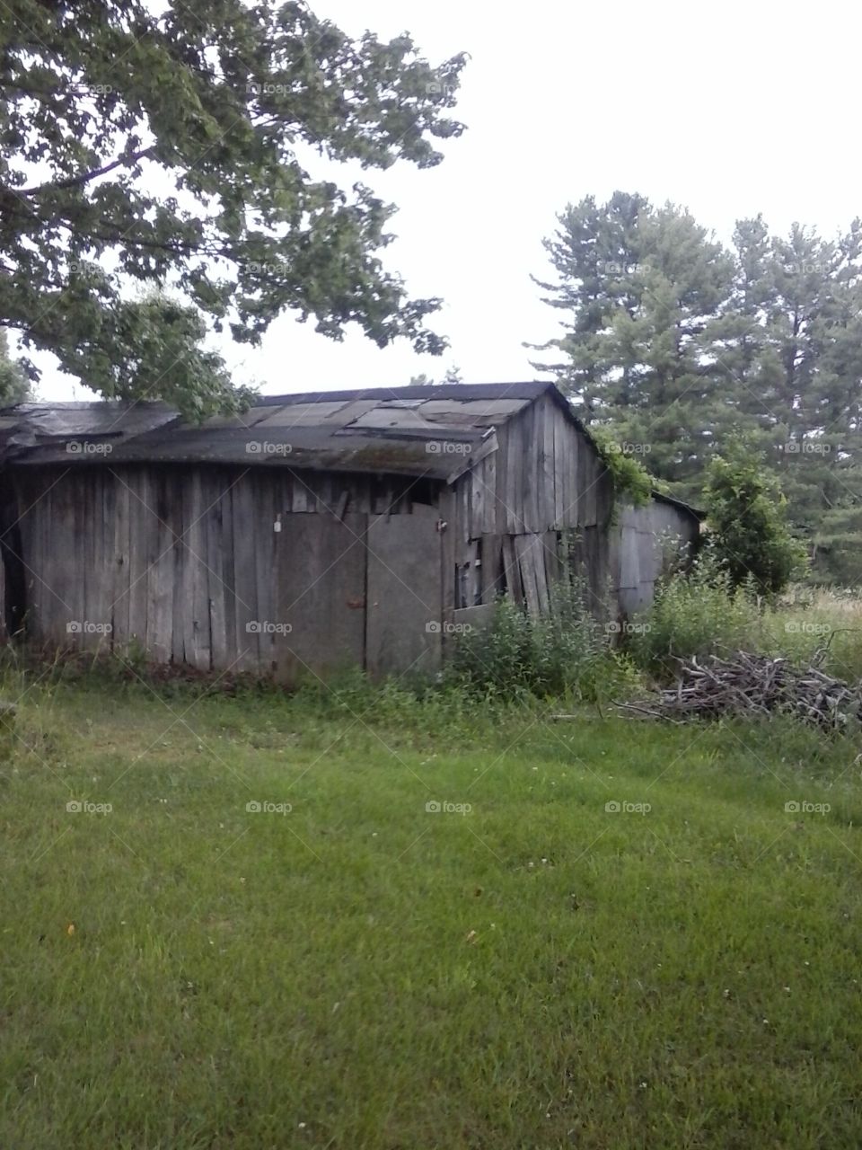 old shed. old shed near my house 