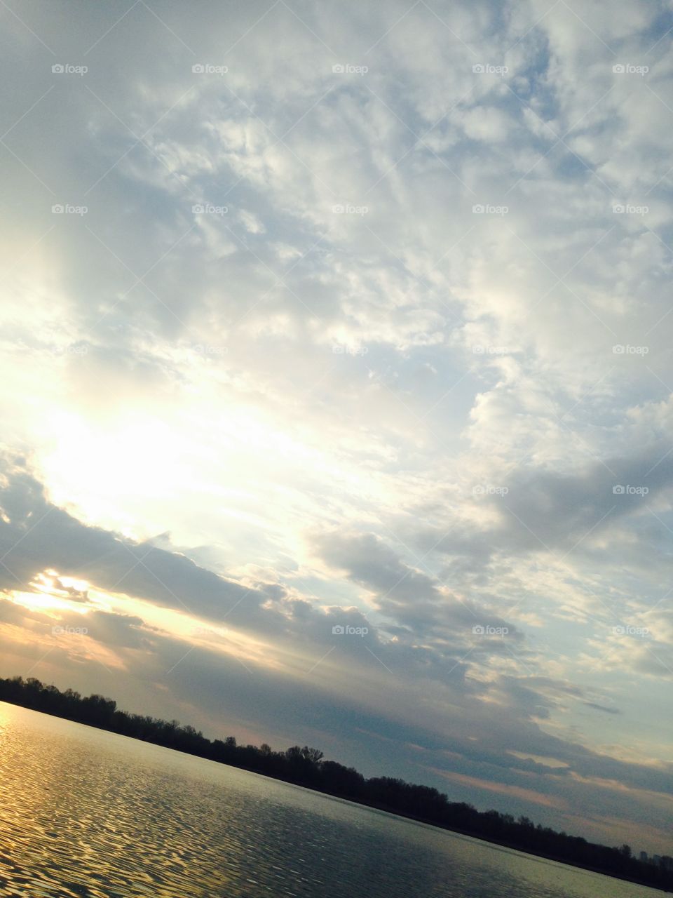 morning on the river in summer