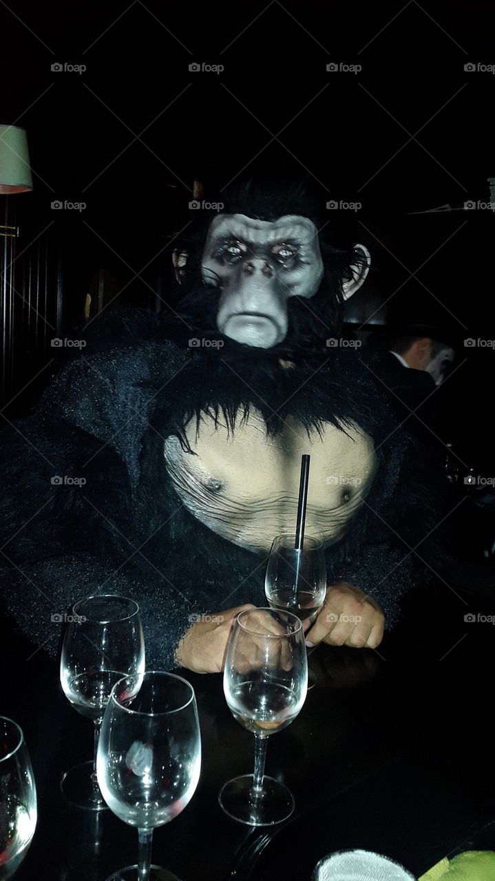 gorilla in a bar