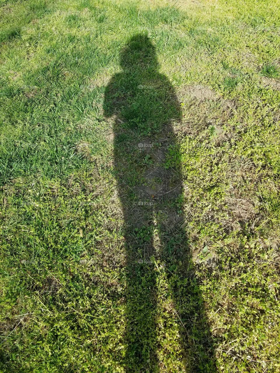 And whose shadow is this?