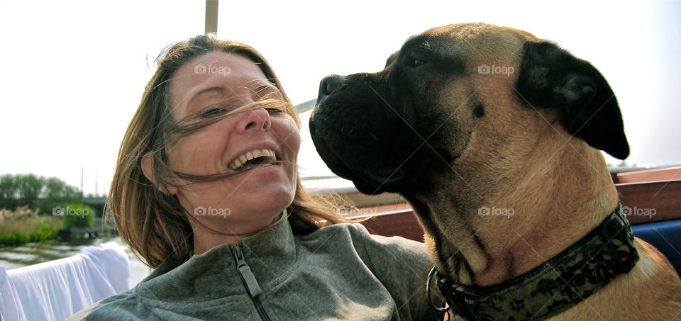 Portrait, Dog, Cute, Animal, Funny