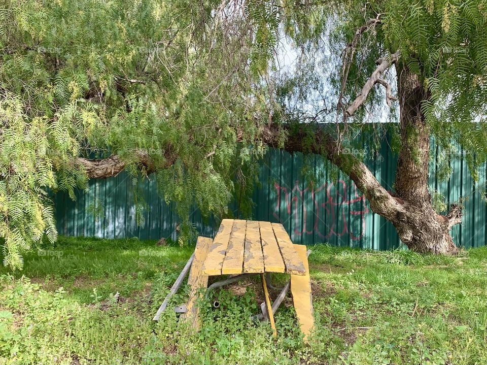 Broken park table