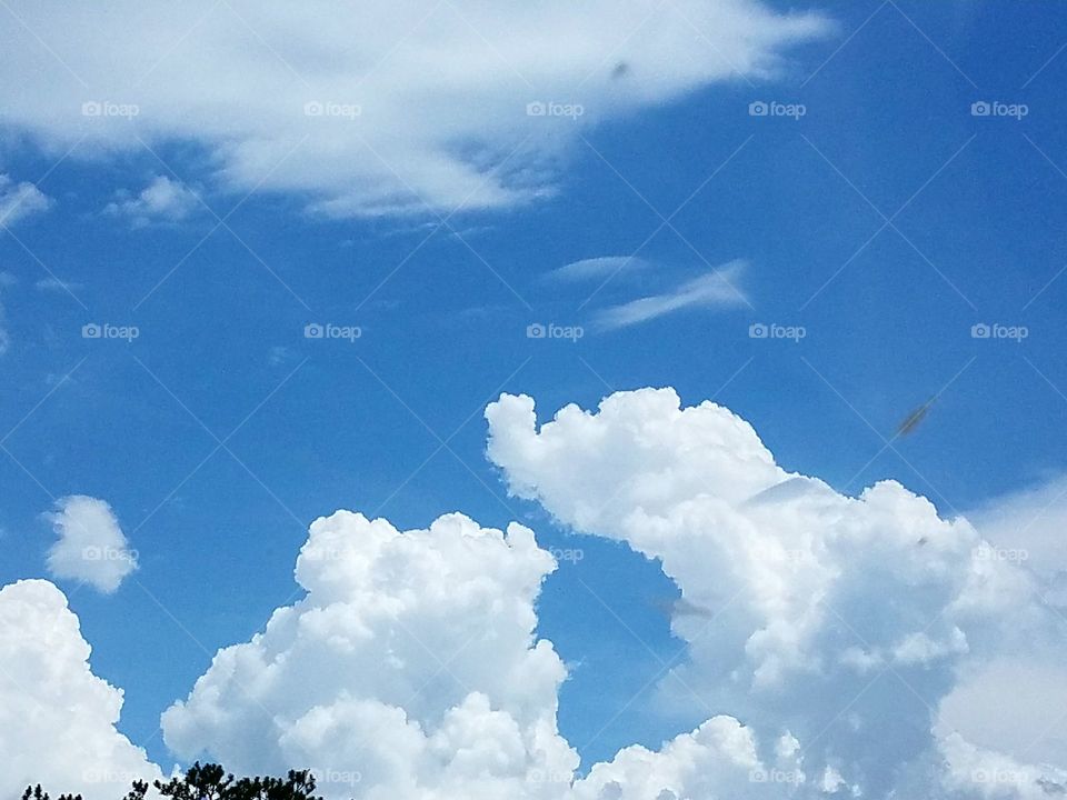 Driving the Back Roads and enjoying everything around us