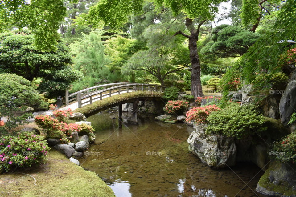 Garden at Kyoto Imperial Palace, Japan
