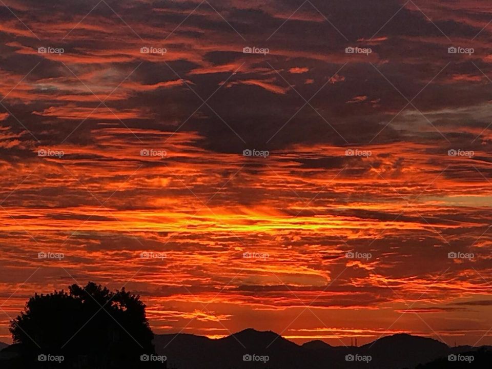 Fire sunset