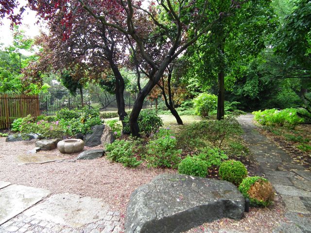 Japanese garden