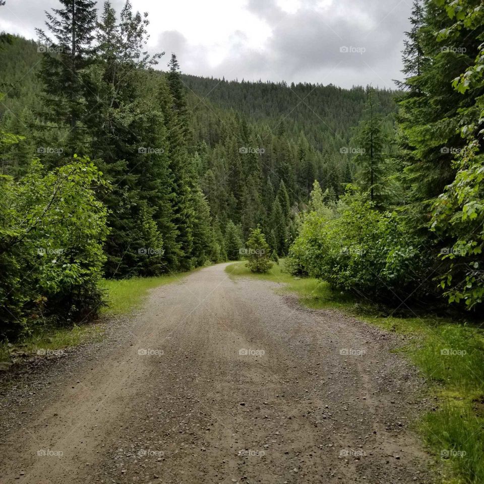 dirt road in the mountains surrounded by green trees under a rainy cloudy sky