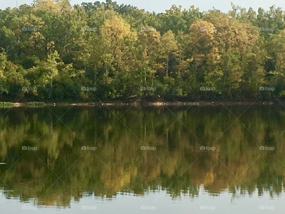 Fall trees reflecting on water Indianapolis Indiana 