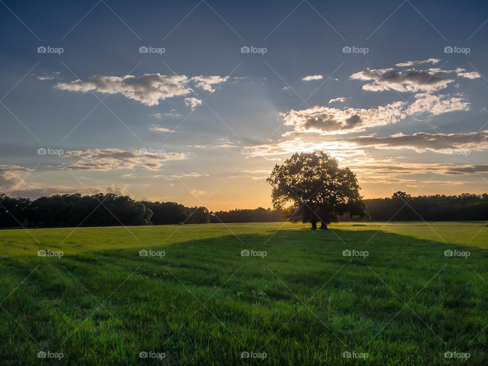 Gorzno, Poland