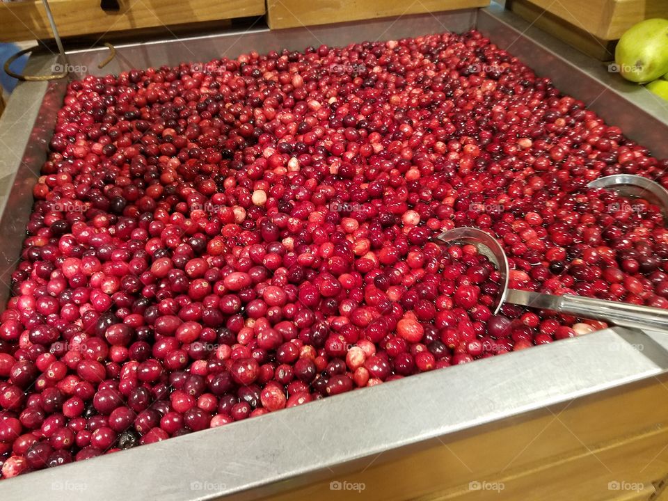 Red color story about the life of the cranberry