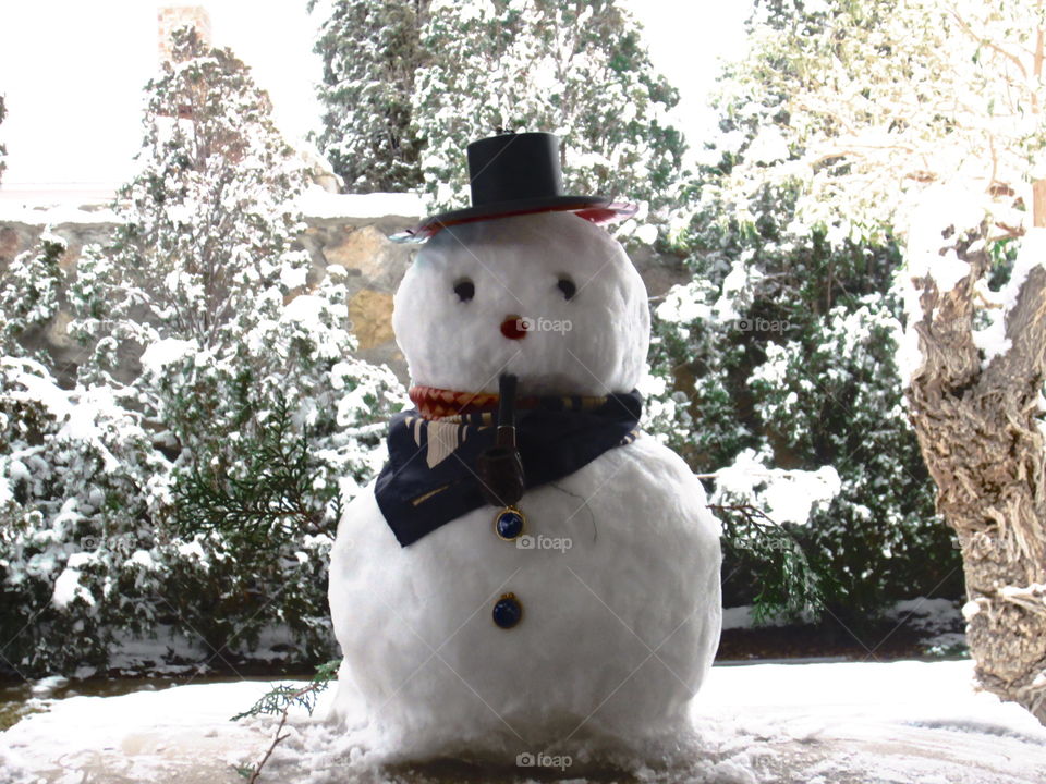 Small, Cute Winter Snowman with Hat and Scarf, Trees in Background